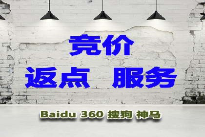 SEM代运营经典案例解析与启示